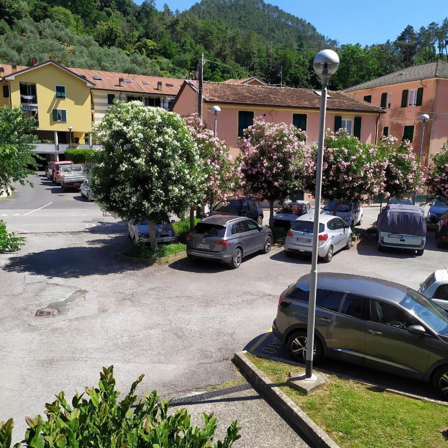 Noemi 5 Lands Paradise Levanto